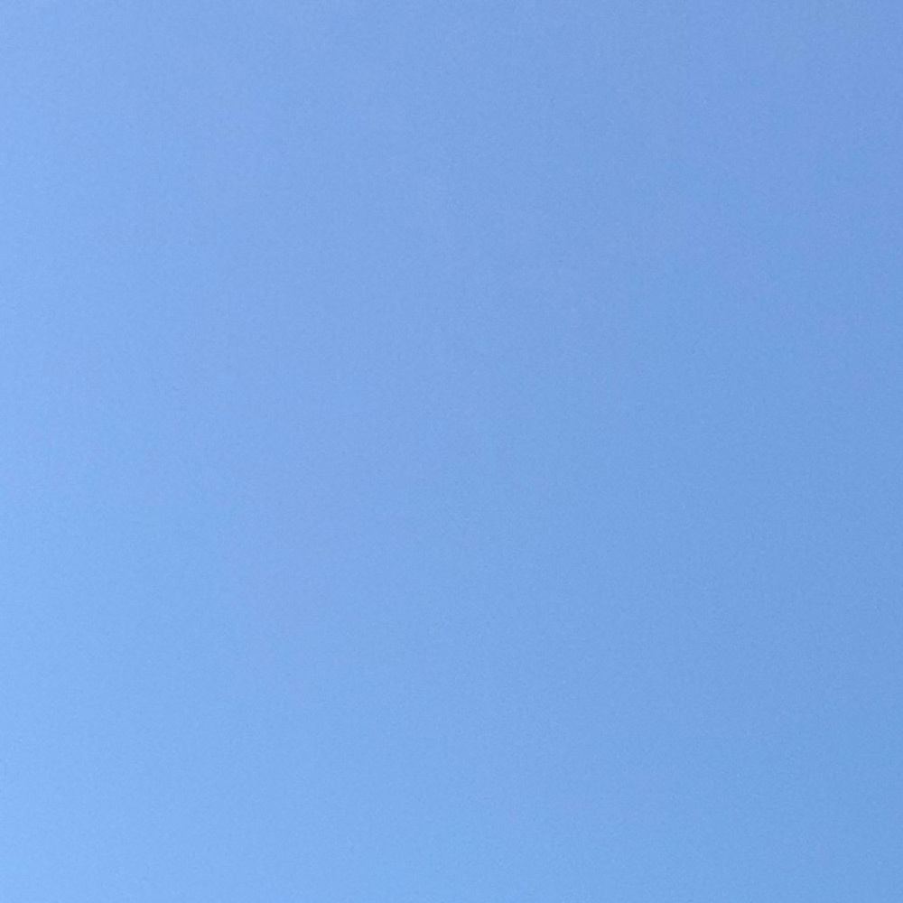 Meet your Posher, Penelope